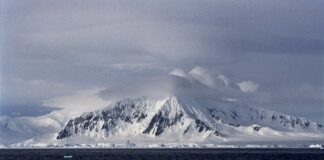 Estudo revela quanto da Antártica realmente está livre de gelo Foto: Jerzy Strzelecki