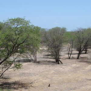 Foto: Glauco Umbelino