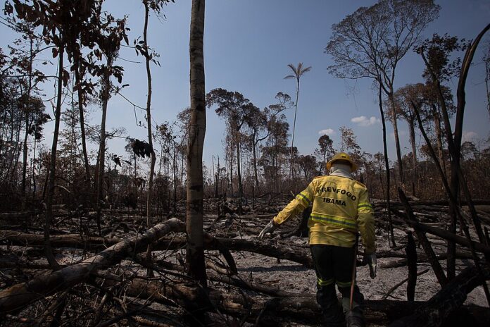 Foto: Bruno Kelly/Amazonia Real.