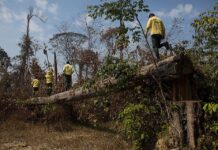 Foto: Bruno Kelly/Amazonia Real.