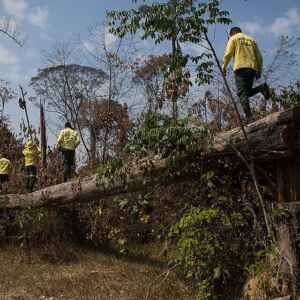 Queimadas em pastagens ficam fora da conta climática do Brasil Foto: Bruno Kelly/Amazonia Real.