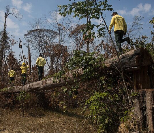 Foto: Bruno Kelly/Amazonia Real.
