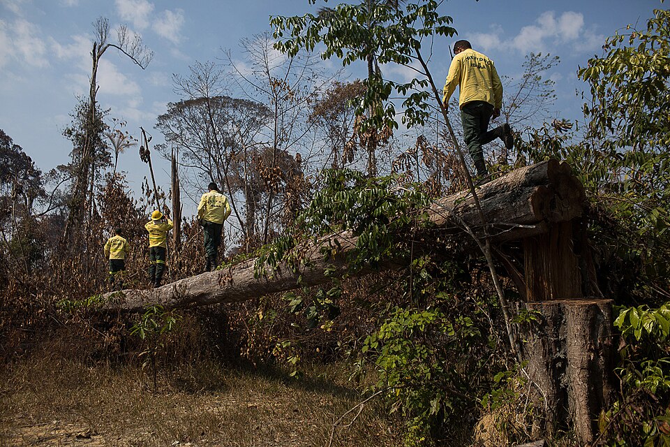 Foto: Bruno Kelly/Amazonia Real.