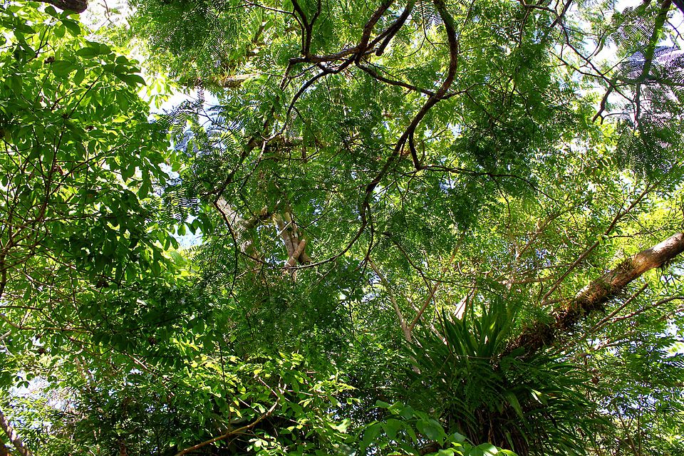 Foto: Artur Warchavchik