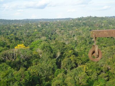 Floresta_Amazonica-400x300 Governo lança painel que mapeia quase R$ 800 bilhões em gastos ambientais