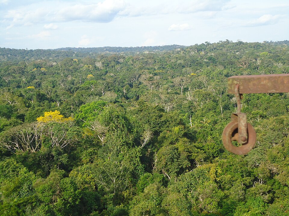 Foto: Carlamoura.amb