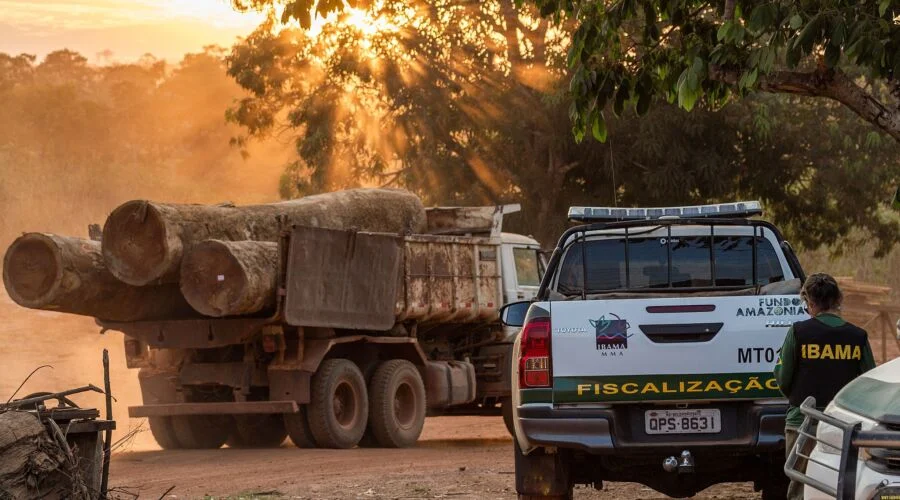 Em Rondônia, fiscalização rígida do Ibama é vital para conter avanço do desmatamento Reprodução