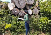 Ipaam ajusta valores da reposição florestal e reduz custo do licenciamento FOTOS: Arquivo/Ipaam