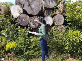 FOTOS: Arquivo/Ipaam