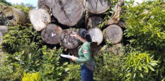 FOTOS: Arquivo/Ipaam