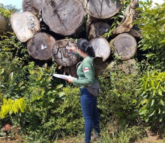 FOTOS: Arquivo/Ipaam