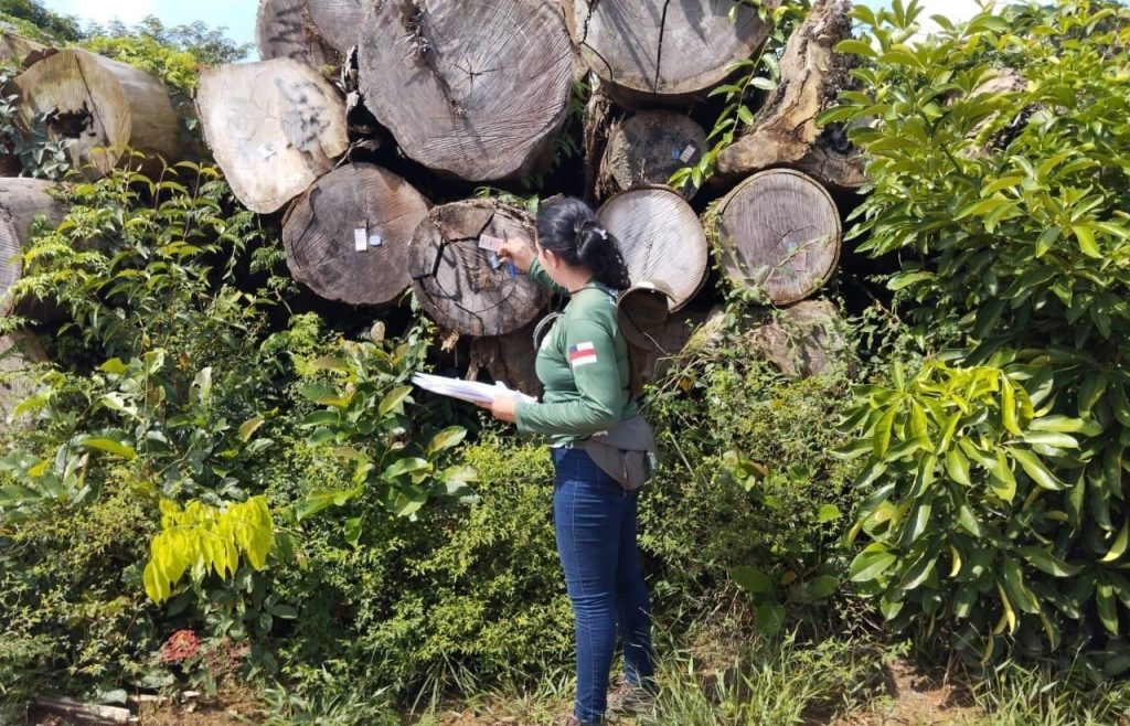 Ipaam ajusta valores da reposição florestal e reduz custo do licenciamento 2 FOTOS: Arquivo/Ipaam