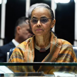 Marina Silva lamenta crime brutal durante ação ambiental no Pará Foto: Roque de Sá/Agência Senado
