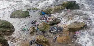 A estratégia que evita que toneladas de plástico cheguem ao Mediterrâneo Foto: Esthee2010
