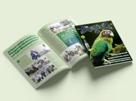 Revista Amazônia 148 Dezembro 2025