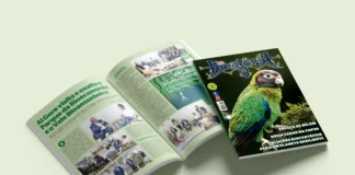 Revista Amazônia 148 Dezembro 2025