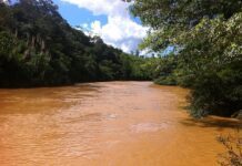 Foto: Fabricio Carrijo