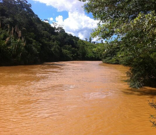 Foto: Fabricio Carrijo