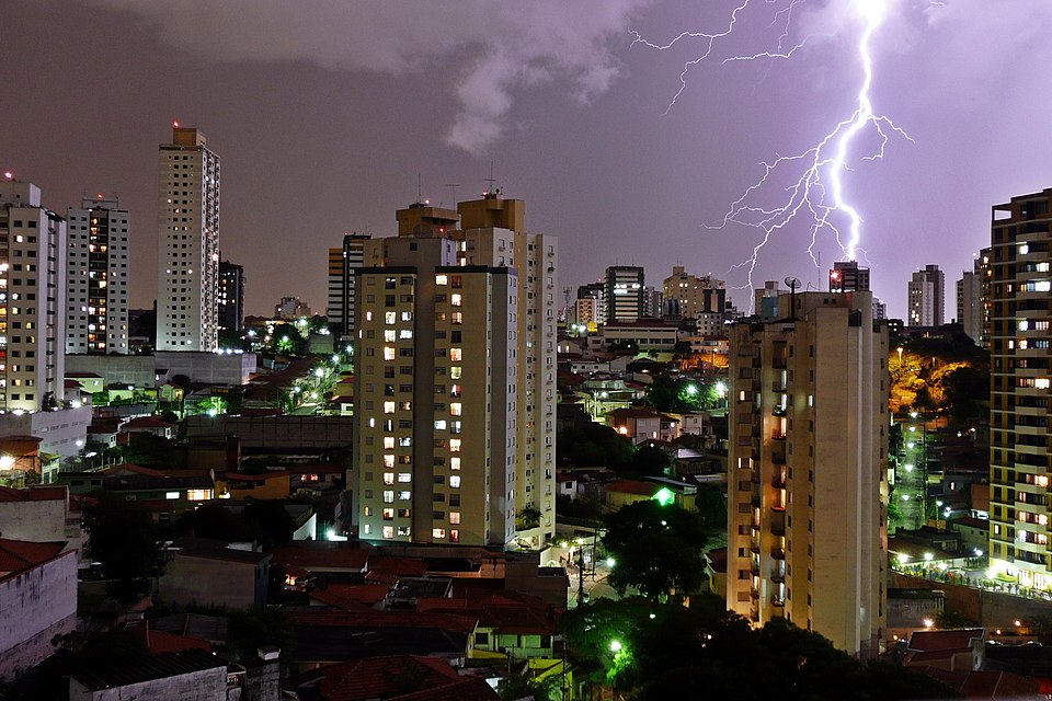 Software brasileiro promete reduzir quedas de árvores nas cidades 2 Foto: Flavio Ensiki