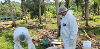 FOTO: Divulgação/Adaf