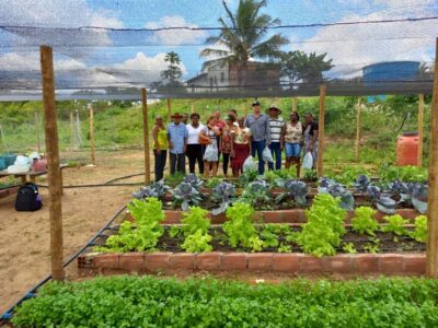 agricultura-familiar-400x300 Fomento Rural eleva em 30% a renda de famílias do campo