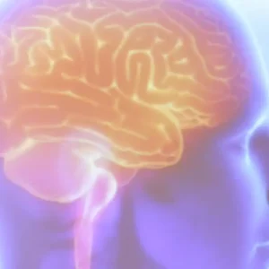 Projeto Ártemis-Brasil busca genética para entender risco de AVC Tânia Rêgo/Agência Brasil