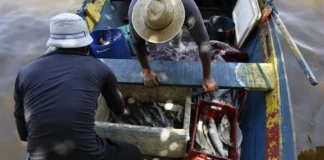 Fernando Frazão/Agência Brasil