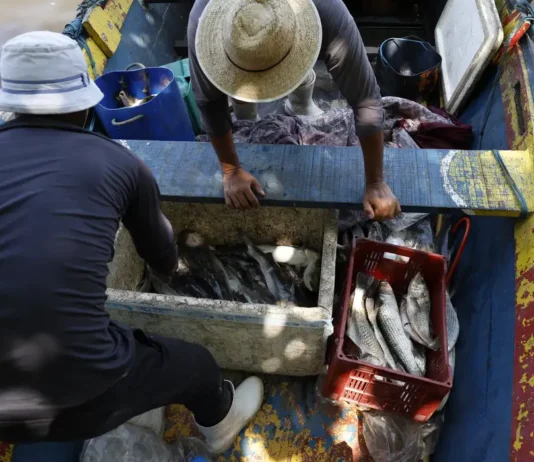 Fernando Frazão/Agência Brasil