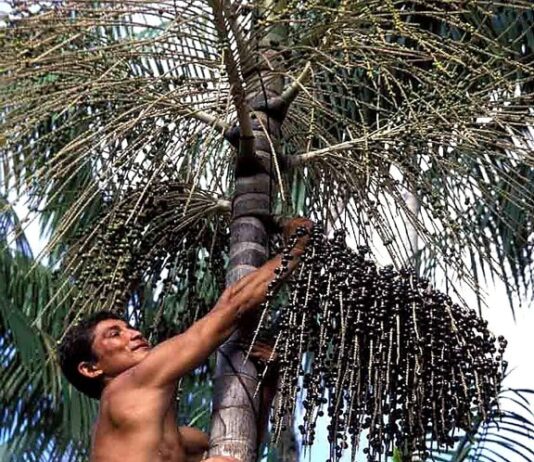 Foto: Luiz Claudio Marigo