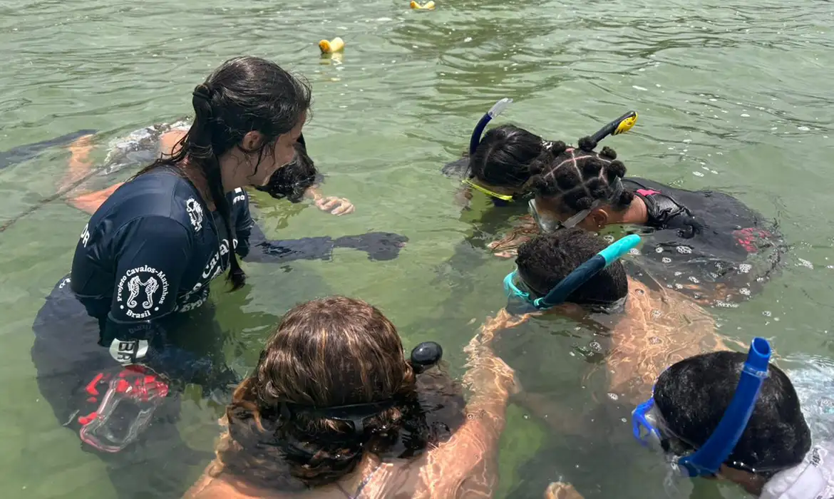 Jovens de 12 a 14 anos tornam-se guardiões de cavalos-marinhos no Rio Projeto Cavalos-Marinhos/Divulgação