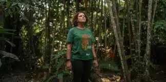 Imazon conquista prêmio da ONU e marca um novo capítulo na conservação da Amazônia Unep/Thomas Mendel
