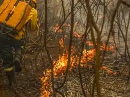 Marcelo Camargo/Agência Brasil