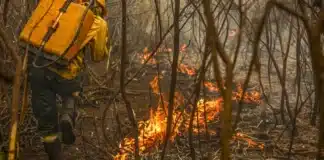 Marcelo Camargo/Agência Brasil