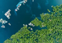 Fotografia: Rodrigo Kugnharski/ Unsplash