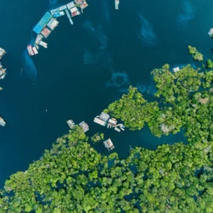 Região ganha ferramenta para fortalecer ética de dados na ciência participativa Fotografia: Rodrigo Kugnharski/ Unsplash