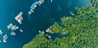 Fotografia: Rodrigo Kugnharski/ Unsplash