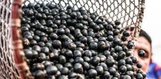 Foto: Marcelo Camargo/Agência Brasil