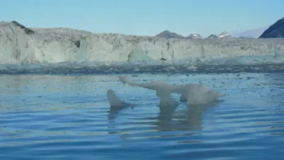 Foto: Richard Bintanja