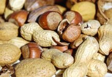 Embrapa lança novo sistema de produção e fortalece a cadeia do amendoim Reprodução