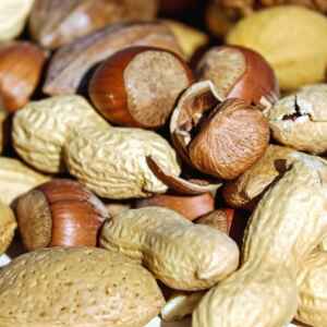 Embrapa lança novo sistema de produção e fortalece a cadeia do amendoim Reprodução