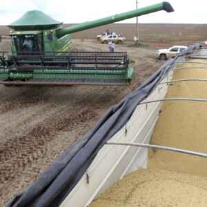 Soja, desmatamento e comércio internacional entram em rota de colisão REUTERS/Paulo Whitaker/Proibida reprodução