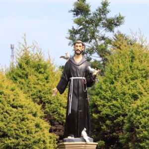 O papel estratégico das igrejas na corrida pela conservação ambiental Foto: Freepik