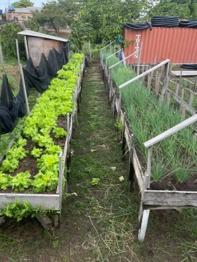 20260102145136-GC00073723-F00283164-400x533 Hospital do Baixo Amazonas vira referência nacional em sustentabilidade