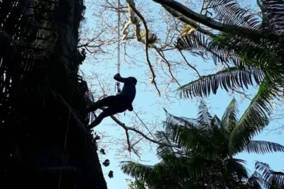 Divulgação - Agência Pará