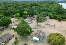 Unidades de conservação municipais fortalecem sustentabilidade no Pará Divulgação - Agência Pará