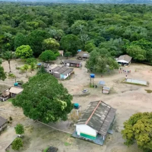 Unidades de conservação municipais fortalecem sustentabilidade no Pará Divulgação - Agência Pará