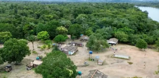 Unidades de conservação municipais fortalecem sustentabilidade no Pará Divulgação - Agência Pará