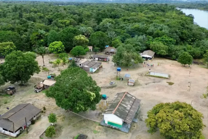 Divulgação - Agência Pará