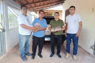 Divulgação - Agência Pará