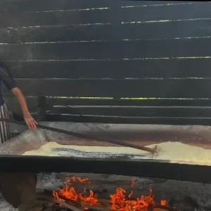 Agricultura familiar de Afuá reforça combate à fome com apoio do PAA Divulgação - Agência Pará